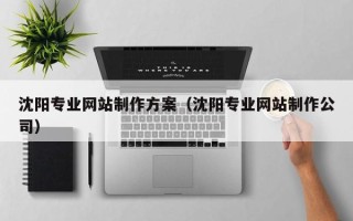 重庆沈阳专业网站制作方案（沈阳专业网站制作公司）